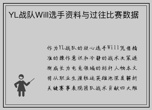 YL战队Will选手资料与过往比赛数据