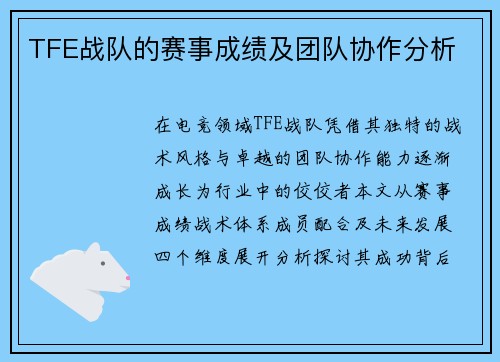 TFE战队的赛事成绩及团队协作分析