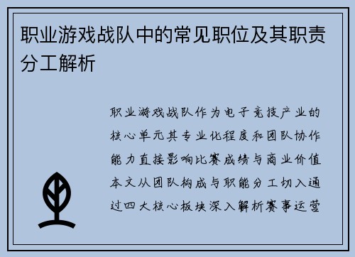 职业游戏战队中的常见职位及其职责分工解析